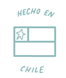 BANDERA HECHO EN CHILE
